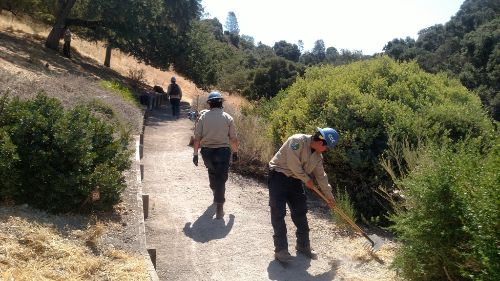 Weeding and cleanup in the Bill Shepard Native Garden.